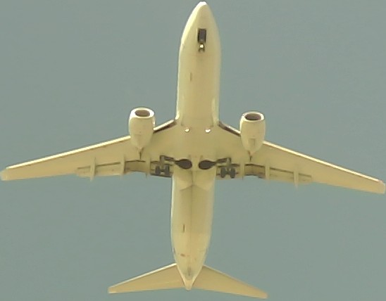 Airplane Picture