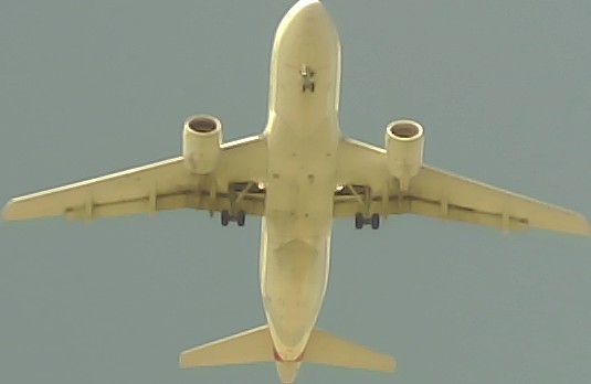 Airplane Picture