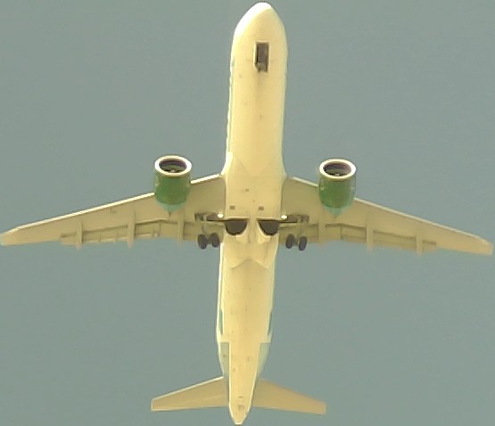 Airplane Picture