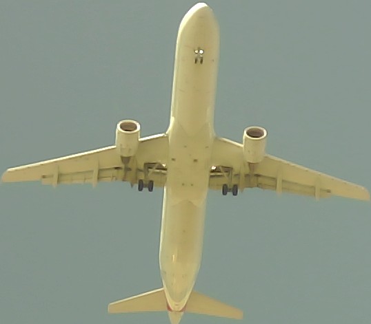 Airplane Picture