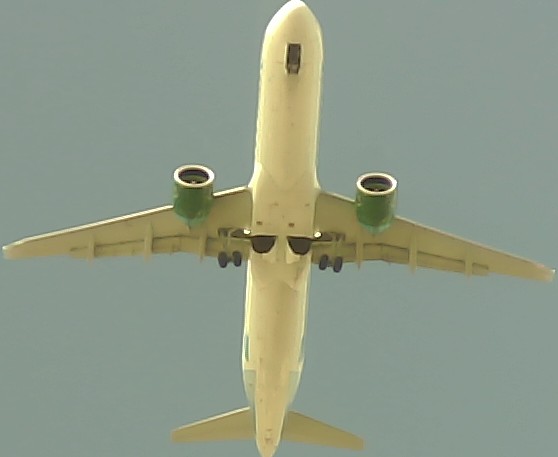 Airplane Picture