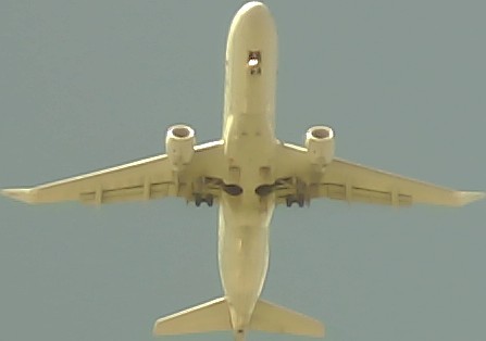 Airplane Picture