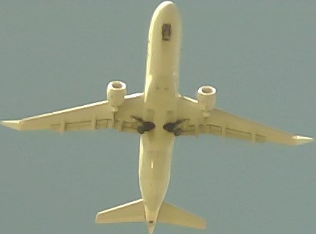 Airplane Picture