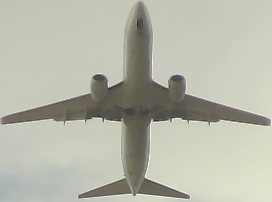 Airplane Picture