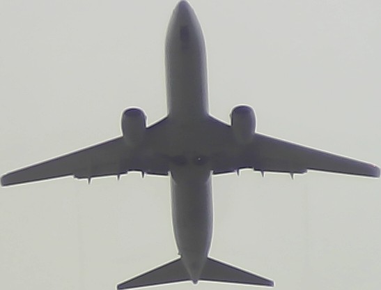 Airplane Picture