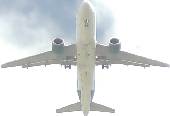 Airplane Picture
