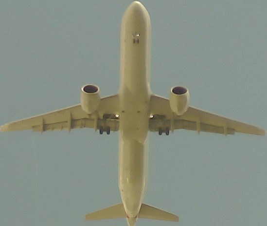 Airplane Picture