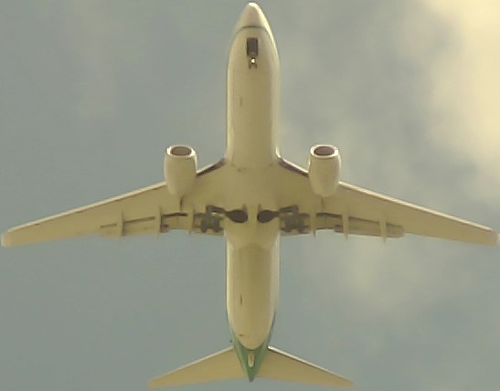Airplane Picture