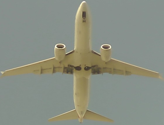 Airplane Picture