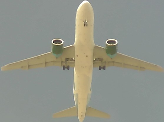 Airplane Picture