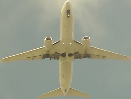 Airplane Picture