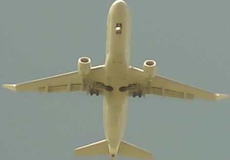 Airplane Picture