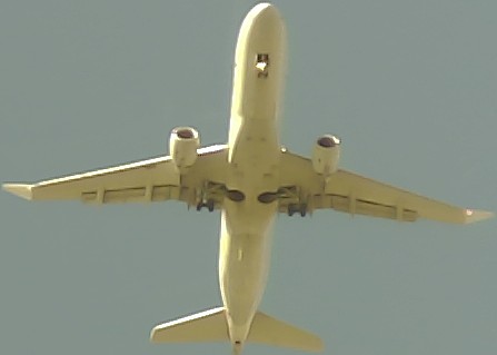 Airplane Picture