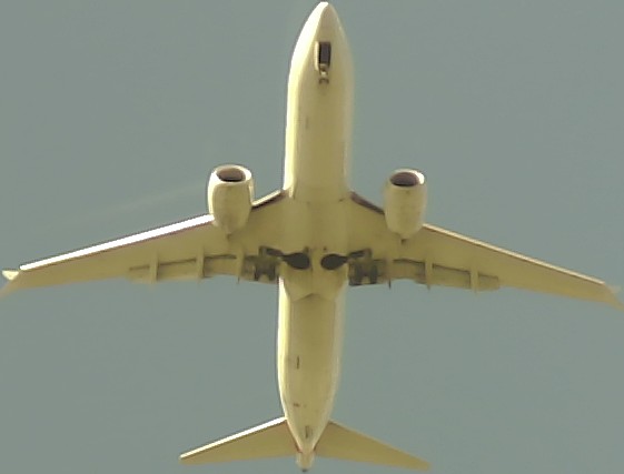 Airplane Picture