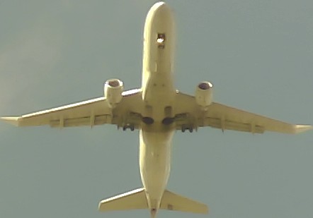 Airplane Picture
