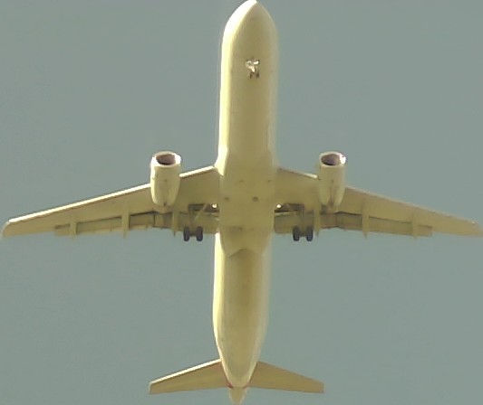 Airplane Picture