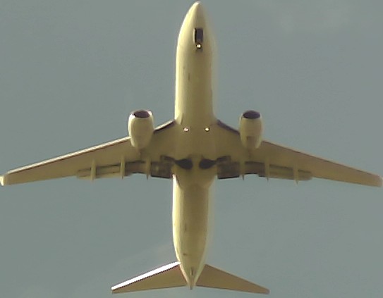 Airplane Picture