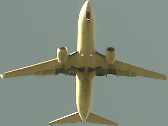 Airplane Picture