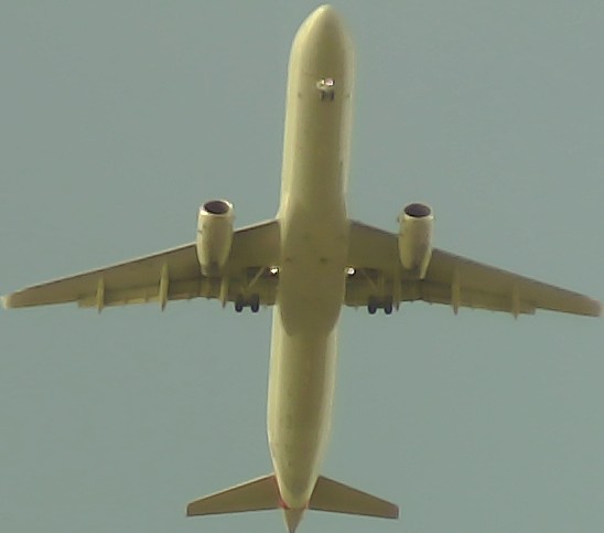 Airplane Picture
