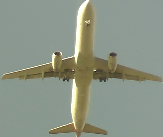 Airplane Picture
