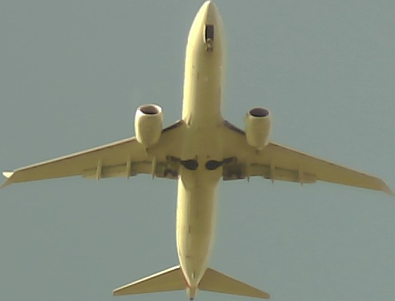 Airplane Picture