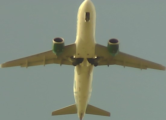 Airplane Picture