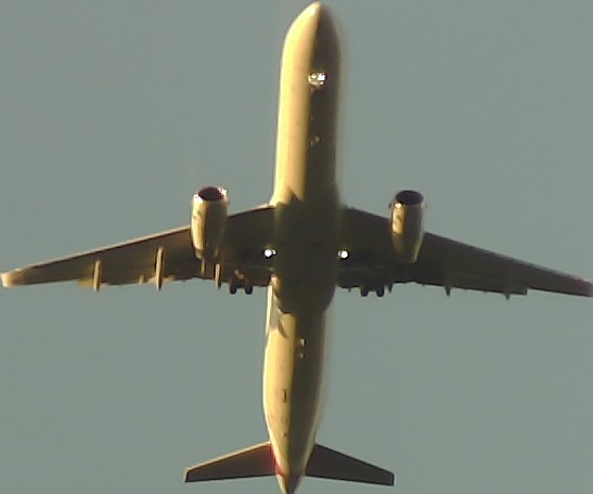 Airplane Picture