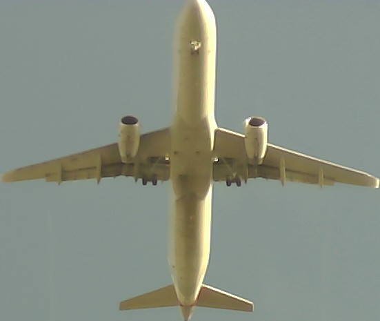 Airplane Picture