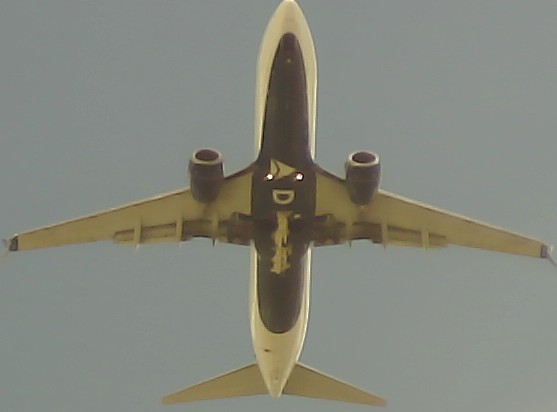 Airplane Picture