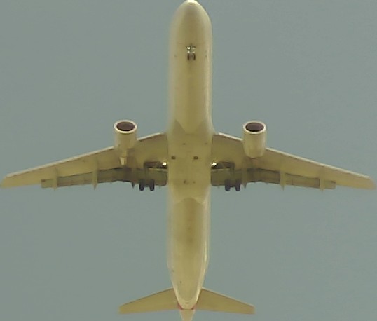 Airplane Picture