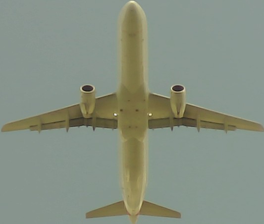 Airplane Picture