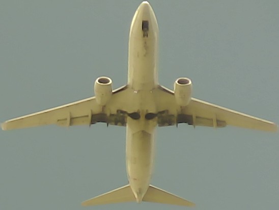 Airplane Picture
