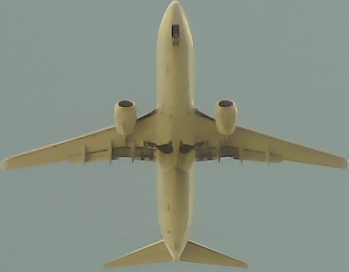 Airplane Picture