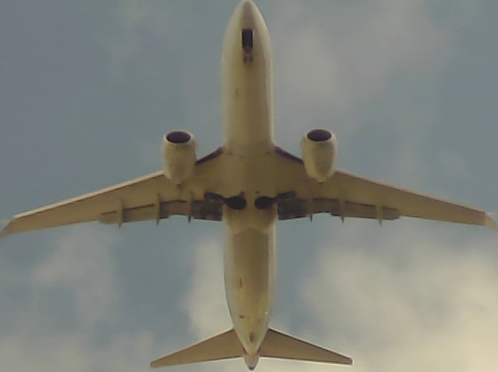 Airplane Picture