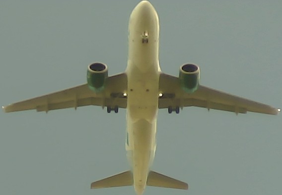 Airplane Picture