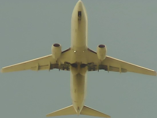 Airplane Picture