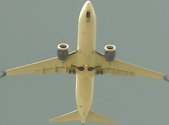 Airplane Picture
