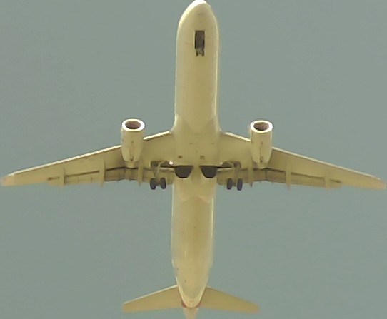 Airplane Picture
