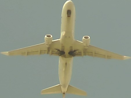 Airplane Picture