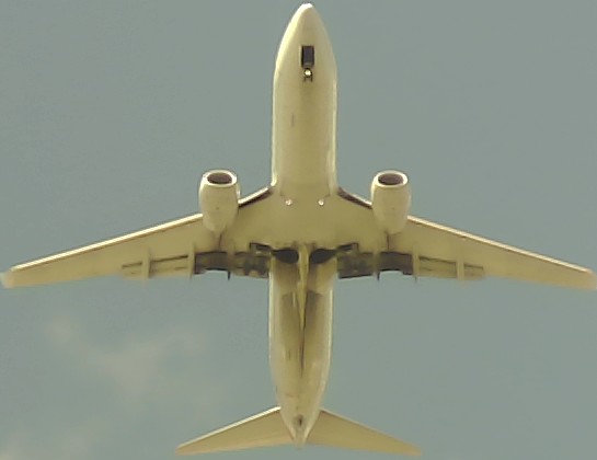 Airplane Picture