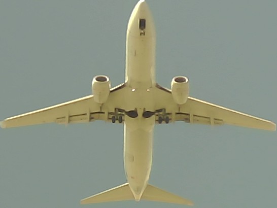 Airplane Picture