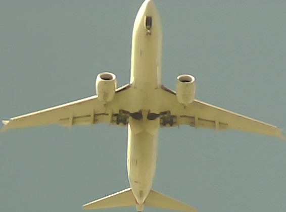 Airplane Picture