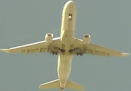 Airplane Picture