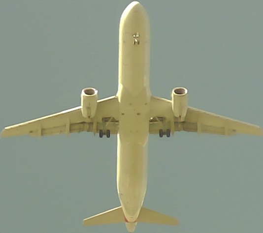 Airplane Picture