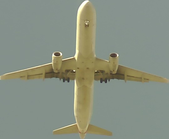 Airplane Picture