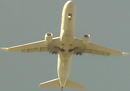 Airplane Picture
