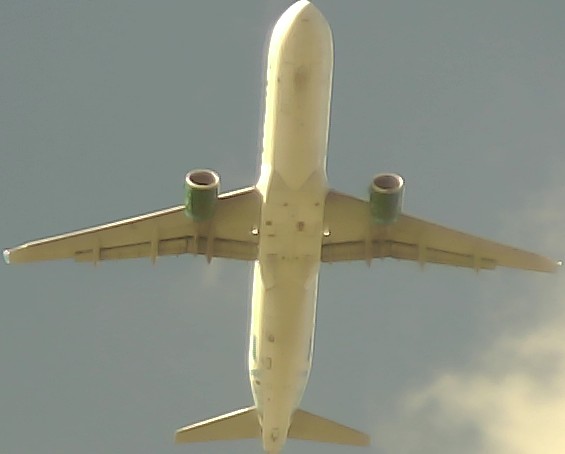Airplane Picture
