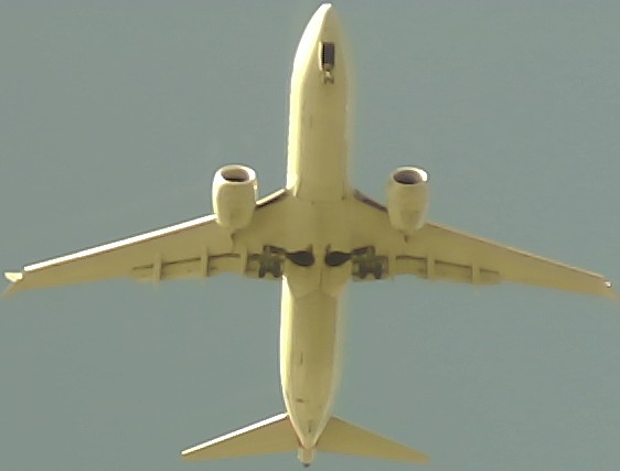 Airplane Picture