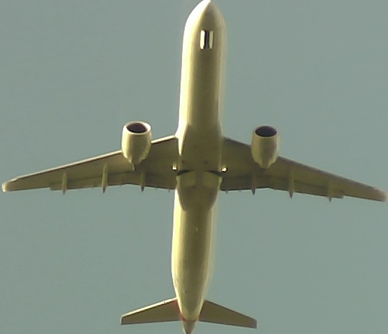 Airplane Picture