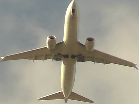Airplane Picture